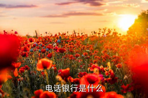 工行電話銀行什么意思，什么叫電話銀行