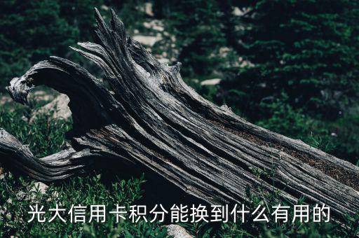 光大銀行積分兌換什么，光大銀行信用卡86558積分能兌換什么