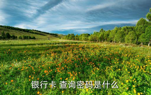 銀行卡 查詢密碼是什么