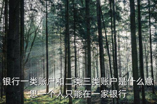 銀行卡一類卡是什么，中國(guó)銀行的1類2類3類的銀行卡有什么區(qū)別