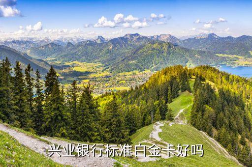 興業(yè)銀行白金卡信用卡怎么樣，興業(yè)銀行白金卡怎么樣