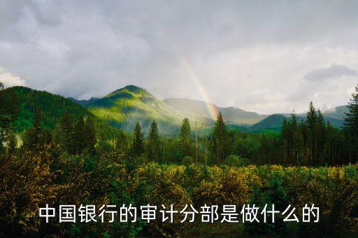 中國銀行的審計分部是做什么的
