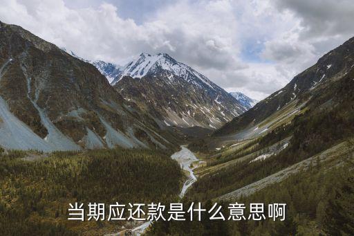 當(dāng)期應(yīng)還款是什么意思啊