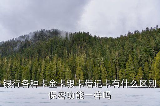 銀行各種卡金卡銀卡借記卡有什么區(qū)別保密功能一樣嗎