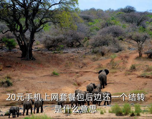 手機套餐簽轉(zhuǎn)什么意思是什么意思啊，郵政手機銀行簽約賬戶互轉(zhuǎn)是啥意思