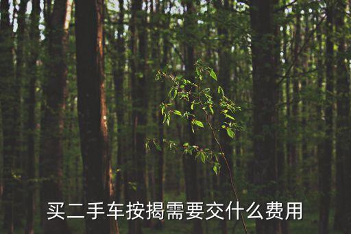 二手車貸款都需要什么手續(xù)費(fèi)嗎，二手車貸款工商銀行要收哪些費(fèi)用