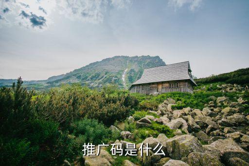 推廣碼是什么