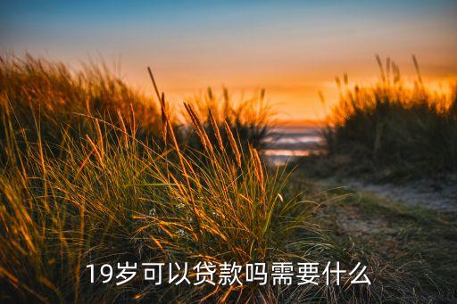 19歲可以貸款嗎需要什么