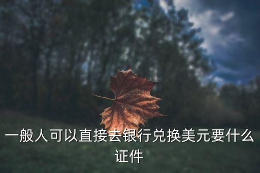 銀行換美元帶什么資料，一般人可以直接去銀行兌換美元要什么證件