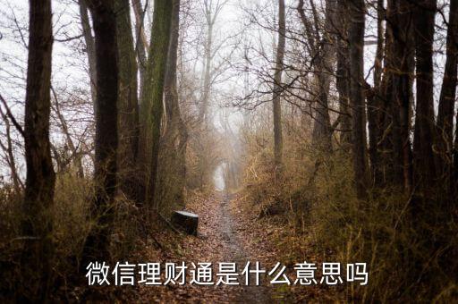 微信理財(cái)通是什么意思嗎