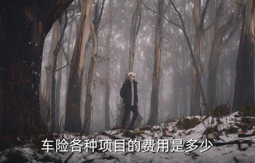 車(chē)保險(xiǎn)上什么花多少錢(qián)一個(gè)，車(chē)險(xiǎn)各種項(xiàng)目的費(fèi)用是多少