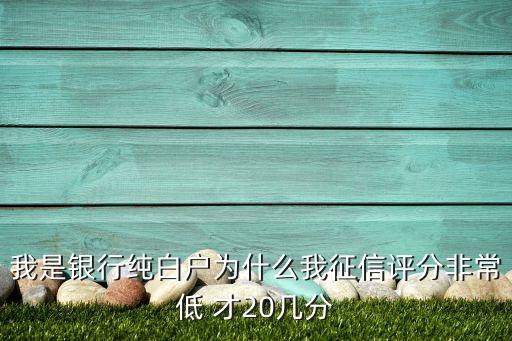 我是銀行純白戶為什么我征信評分非常低 才20幾分