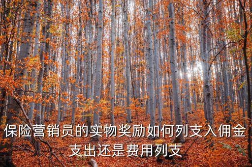 平安實物激勵費是什么意思，保險營銷員的實物獎勵如何列支入傭金支出還是費用列支