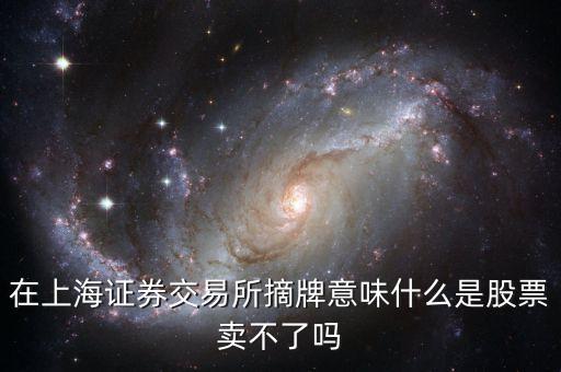 在上海證券交易所摘牌意味什么是股票賣不了嗎