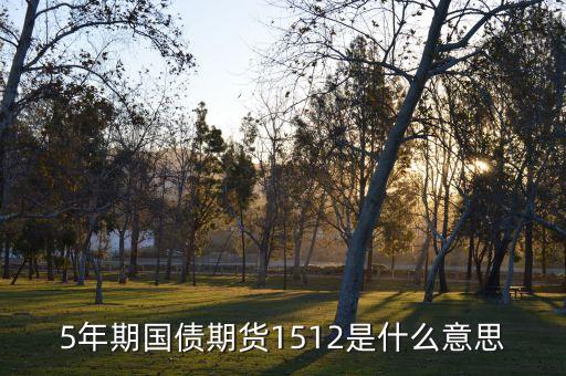 5年期國債期貨1512是什么意思