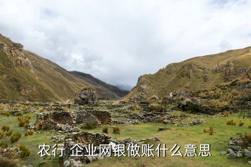 企業(yè)網(wǎng)銀為什么對賬，農(nóng)行 企業(yè)網(wǎng)銀做賬什么意思