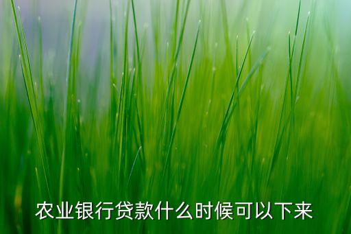 農(nóng)行一般什么時間放貸，中國農(nóng)業(yè)銀行什么時候放貸款