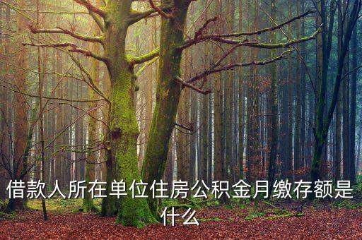 借款人所在單位住房公積金月繳存額是什么