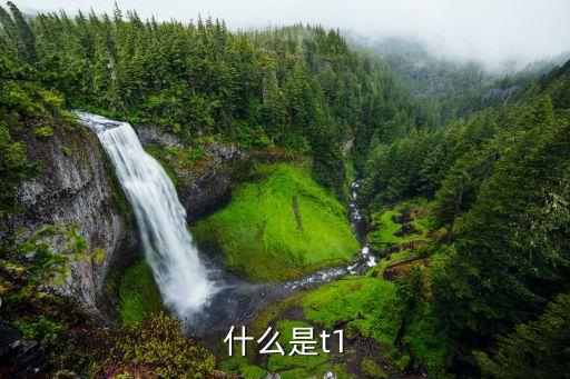 什么叫t十1操作，買基金t十1什么意思