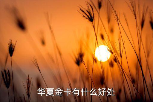 華夏金卡有什么好處