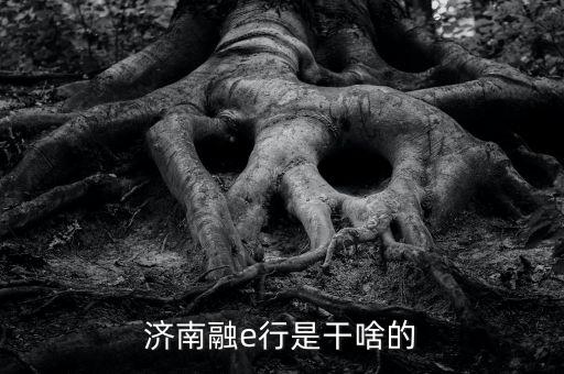 濟(jì)南融e行是干啥的