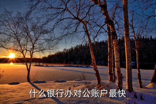 什么銀行辦對(duì)公賬戶最快