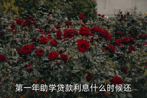 第一年助學(xué)貸款利息什么時(shí)候還