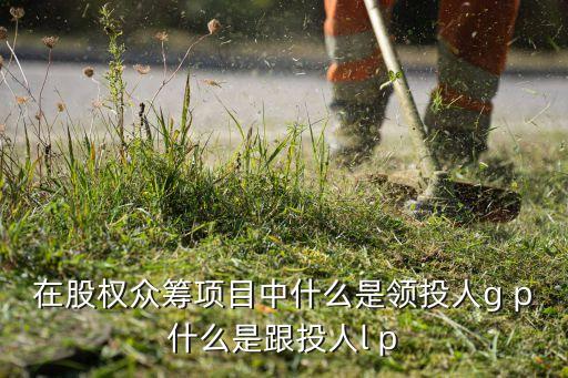 公司投資人g什么職位，在股權(quán)眾籌項(xiàng)目中什么是領(lǐng)投人g p什么是跟投人l p