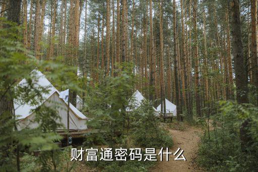 財富通登錄密碼是什么，財富通用戶名和密碼是什么