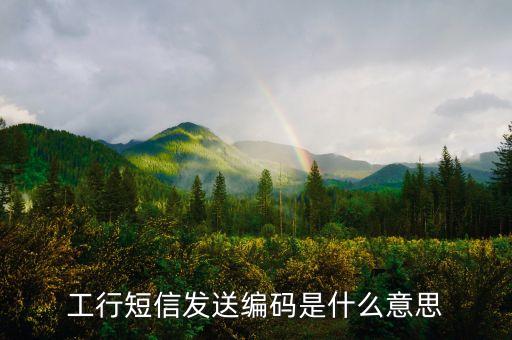 工行信用卡短信代碼是什么情況，信用卡sms code什么意思