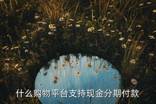 什么購(gòu)物平臺(tái)支持現(xiàn)金分期付款