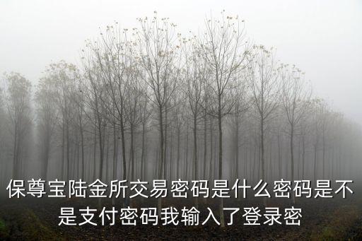 陸金所銀聯(lián)通輸密碼是什么，為什么在陸金所注冊要輸入銀行卡密碼