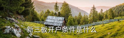 新三板準(zhǔn)入有什么條件，新三板開戶條件有哪些