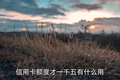 信用卡額度才一千五有什么用