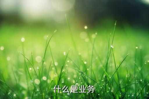 具體業(yè)務(wù)指什么，什么是業(yè)務(wù)