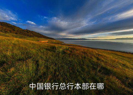 中國(guó)銀行在什么地方，昆明哪些地方有中國(guó)銀行