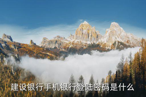 建設(shè)銀行手機銀行登陸密碼是什么