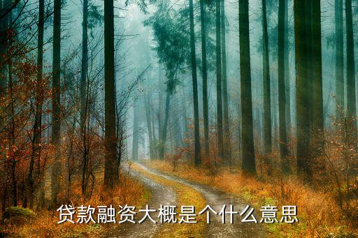貸款融資大概是個什么意思