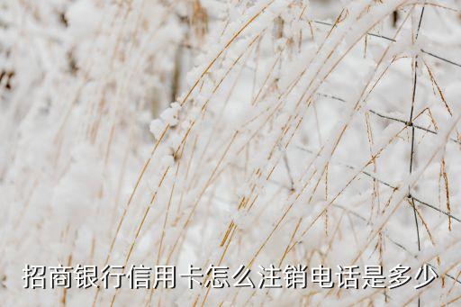 招商銀行信用卡怎么注銷電話是多少