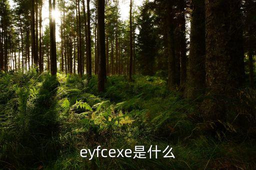 eyfcexe是什么