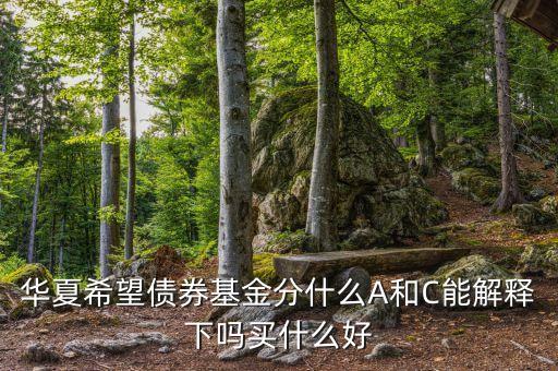 華夏希望債券a屬于什么，有人知道華夏基金的A類和C類的區(qū)別嗎