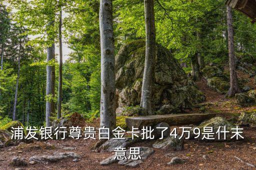 浦發(fā)尊貴信用卡是什么意思，持浦發(fā)銀行貴賓卡有哪些用處