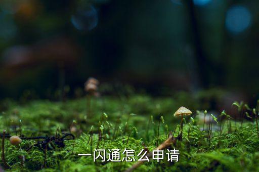 一閃通怎么申請