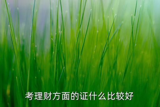想理財考什么證書，考理財方面的證什么比較好