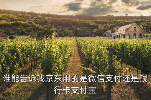 京東使用什么支付，用手機(jī)在京東商城買(mǎi)東西用什么支付