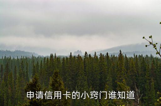 申請信用卡的小竅門誰知道