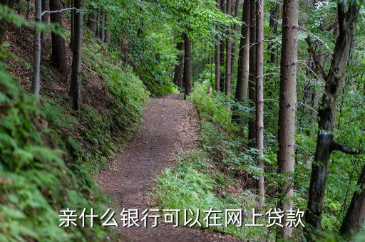 親什么銀行可以在網(wǎng)上貸款