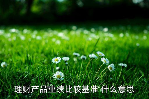 理財產(chǎn)品業(yè)績比較基準(zhǔn) 什么意思