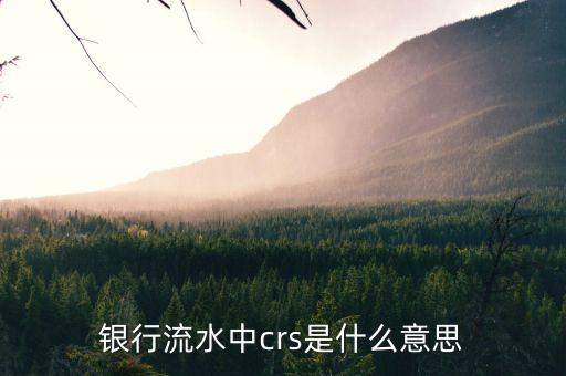 銀行crs系統(tǒng)是什么意思，取款機上字母crs是什么意思