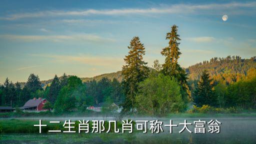 十二生肖那幾肖可稱十大富翁